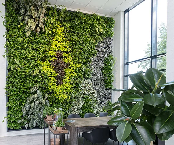 Plant Installation in Lugoff Sc