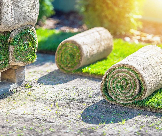 Sod Installation Service