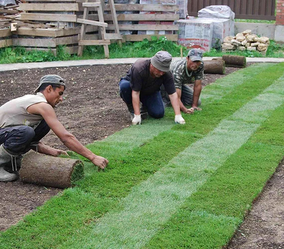 Commercial Sod Installation