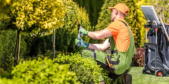 Landscaping Services