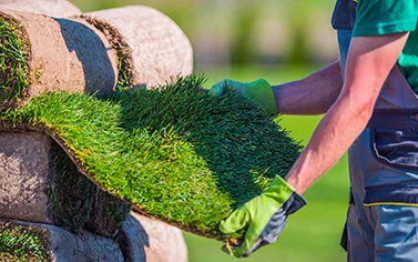 Landscaping installation
