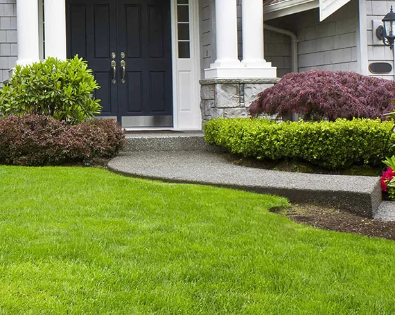 Landscape Renovation