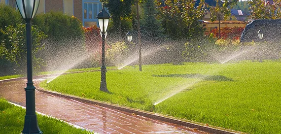 Water Feature Installation