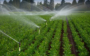 irrigation systems